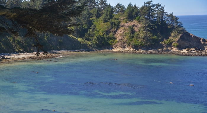 Cape Arago SP North Cove